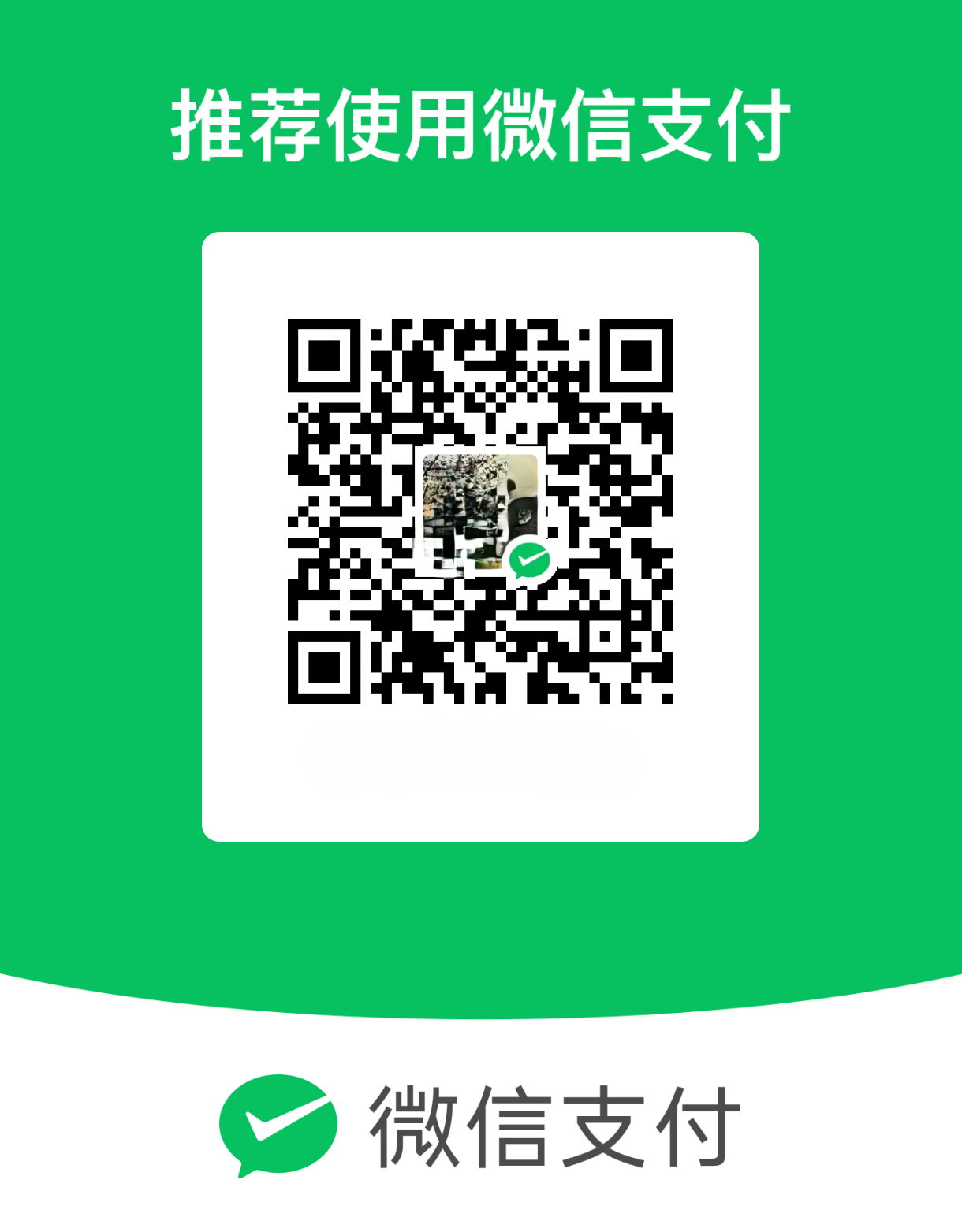 Arliya 微信支付